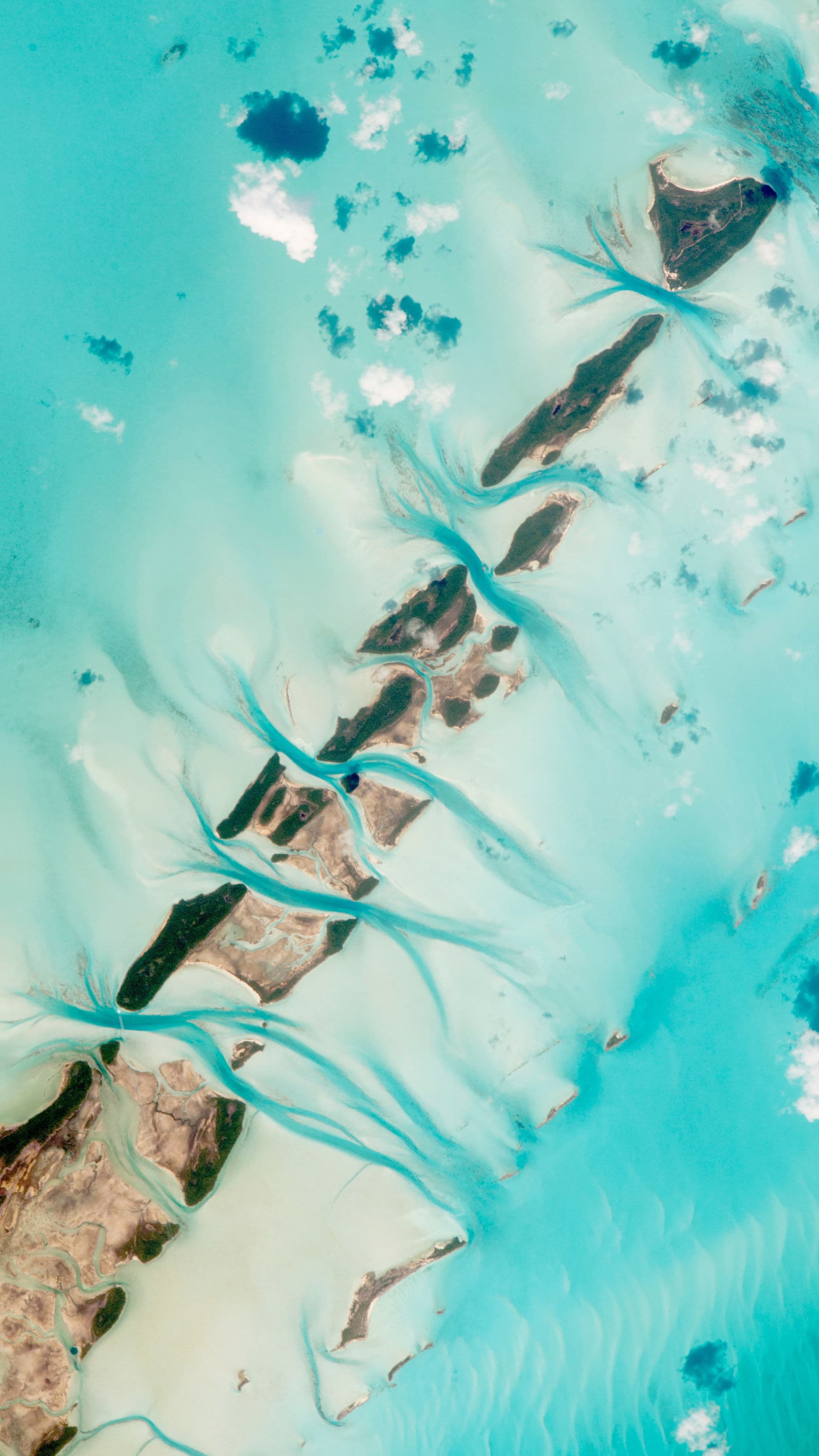 Aila web app screenshots